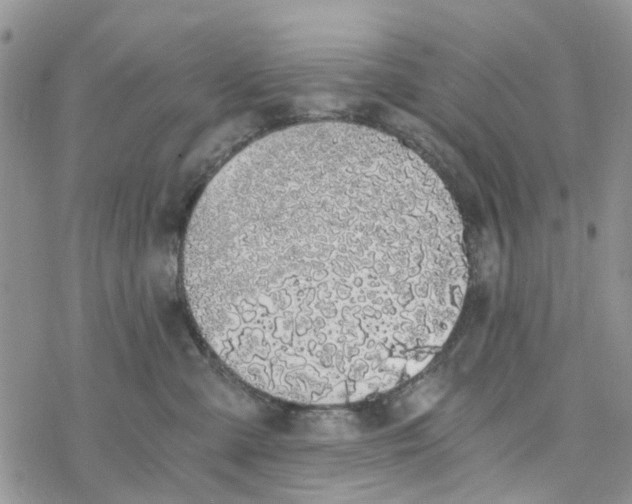 X0000078260427200611251333