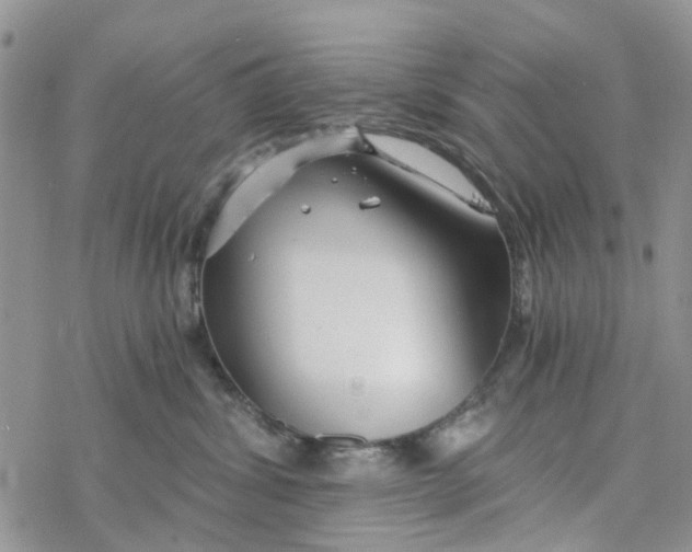 X0000078260428200611251333