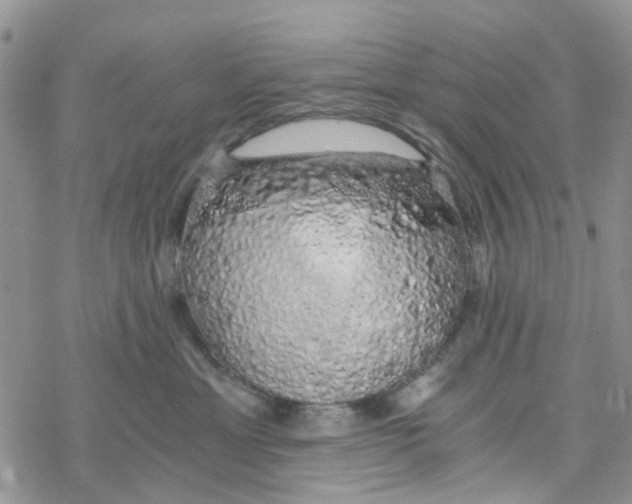 X0000078260429200611251333