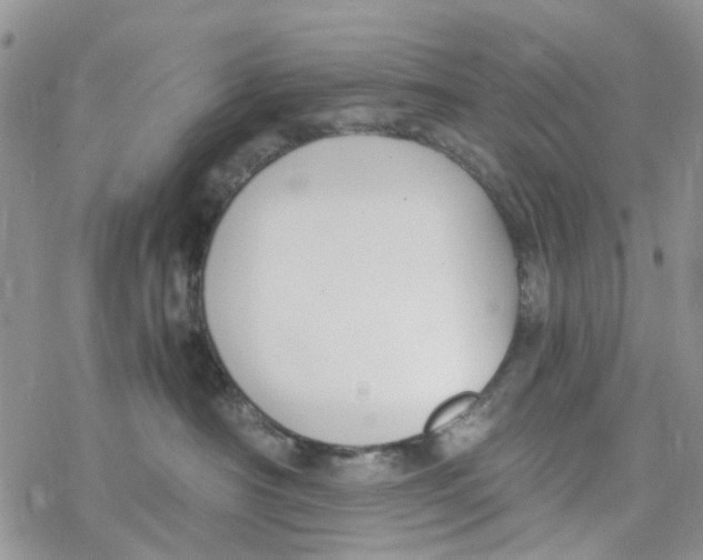 X0000078260430200611251333