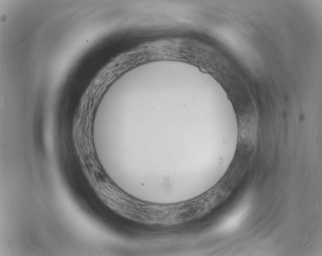 X0000078260431200611251333