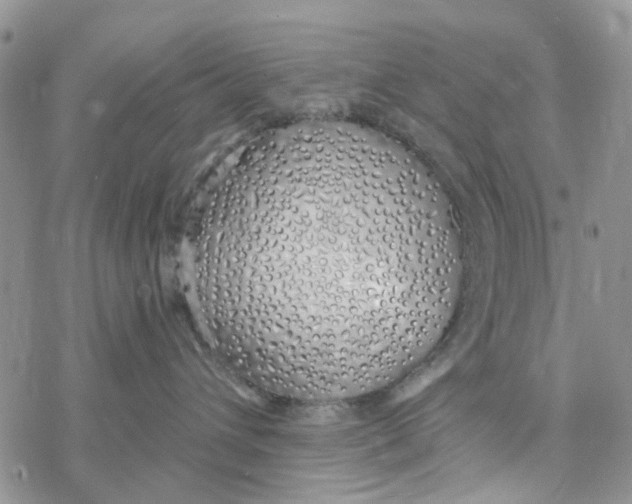 X0000078260432200611251333