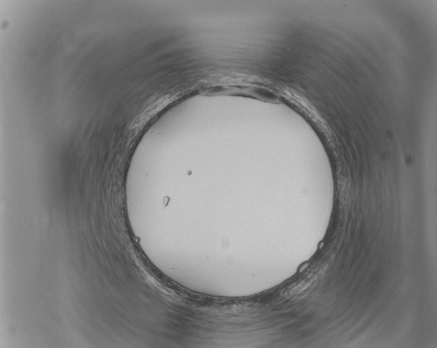 X0000078260433200611251332