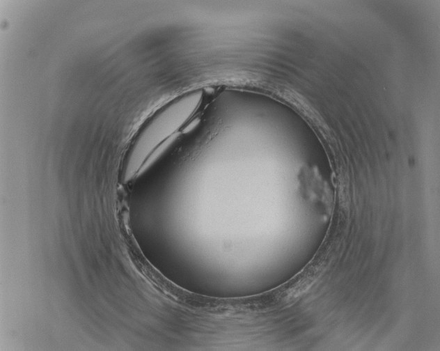 X0000078260434200611251332