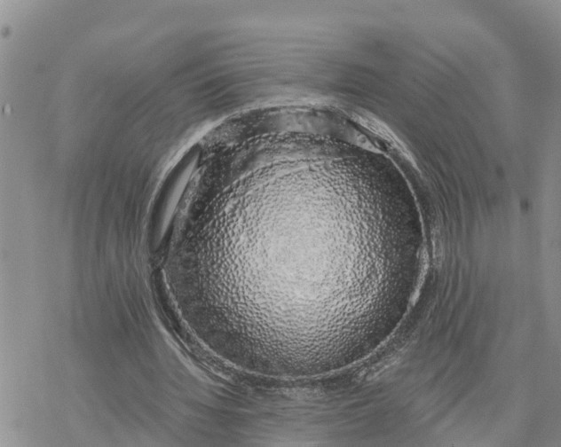 X0000078260436200611251332