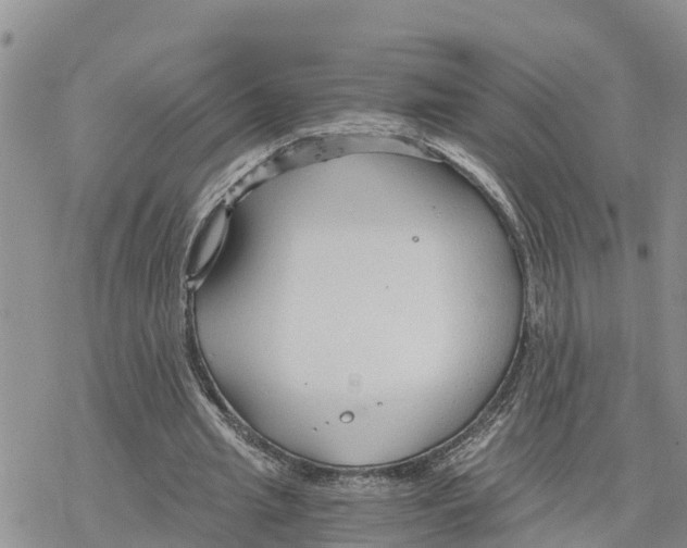 X0000078260437200611251332