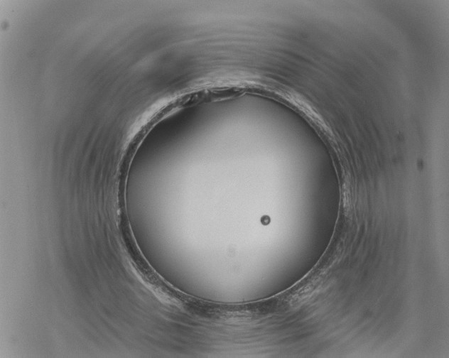 X0000078260438200611251332