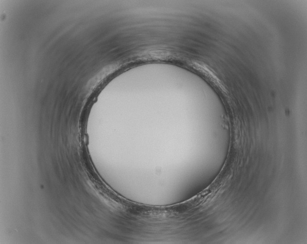 X0000078260439200611251332