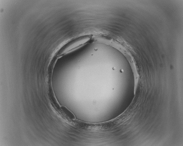 X0000078260440200611251332