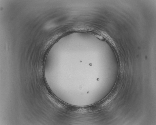 X0000078260441200611251332