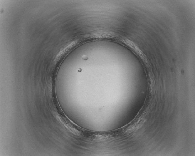 X0000078260442200611251332