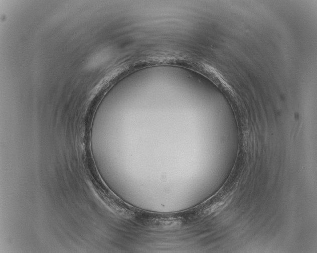 X0000078260443200611251332