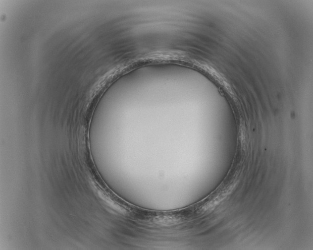 X0000078260445200611251332