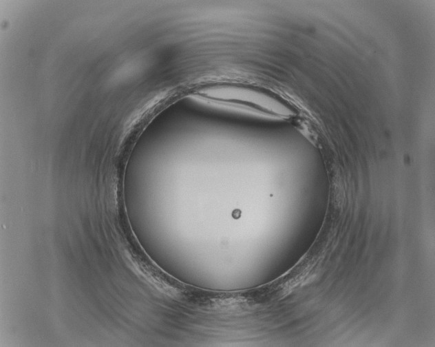 X0000078260446200611251332