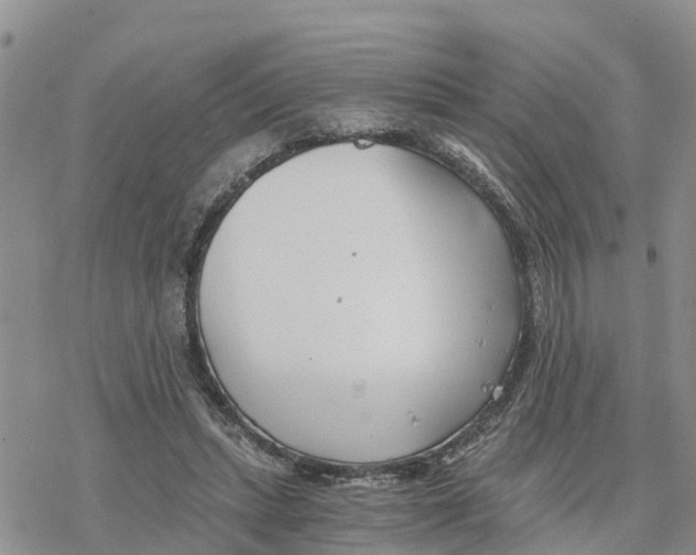 X0000078260447200611251332