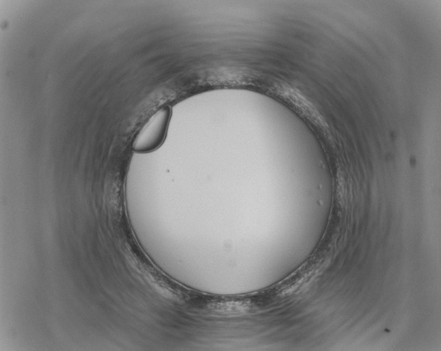 X0000078260449200611251332