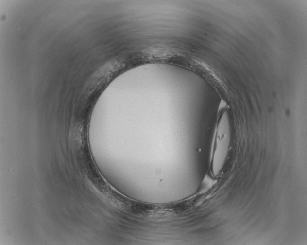 X0000078260451200611251333