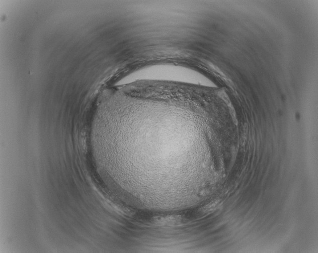 X0000078260452200611251333