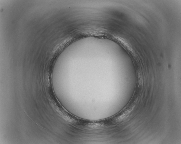 X0000078260453200611251333