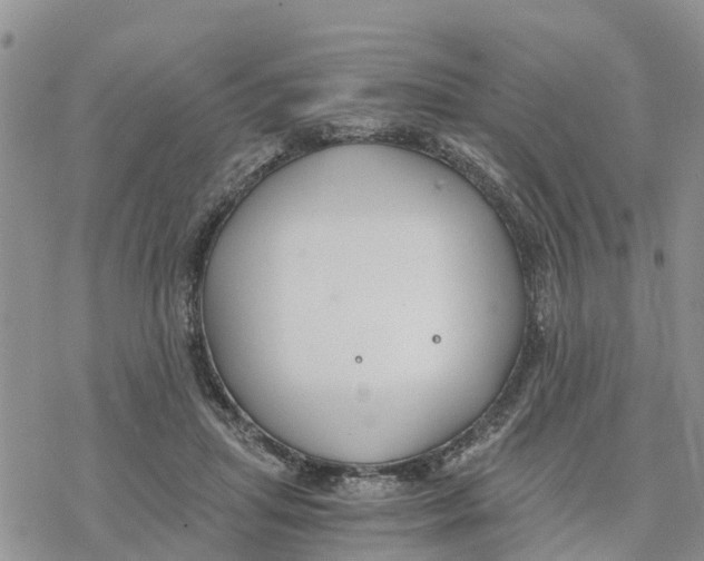 X0000078260455200611251333