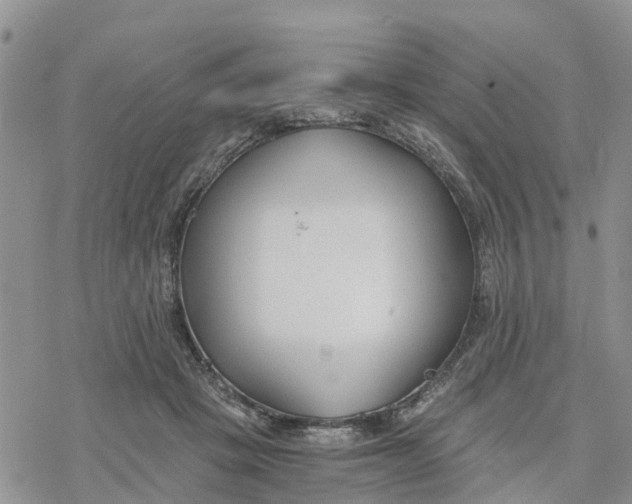 X0000078260457200611251333