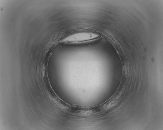 X0000078260458200611251333