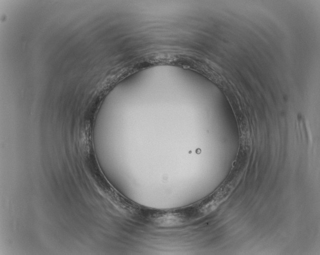 X0000078260460200611251333