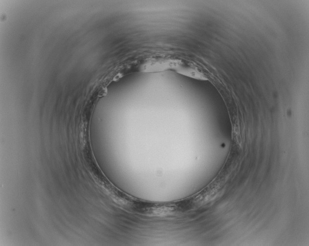 X0000078260462200611251333