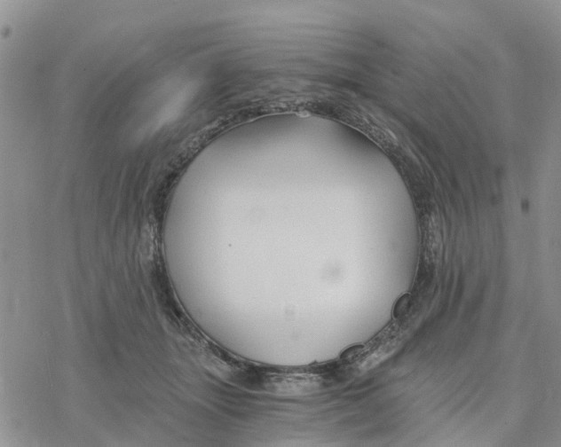 X0000078260463200611251333