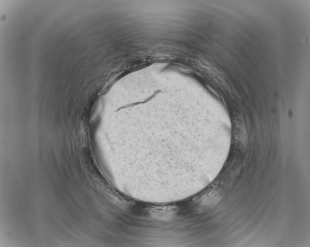 X0000078260465200611251333