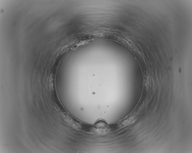 X0000078260466200611251333