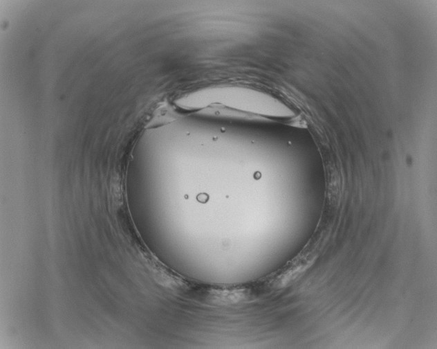 X0000078260469200611251333