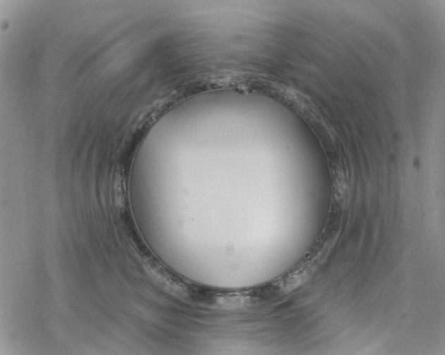 X0000078260470200611251333