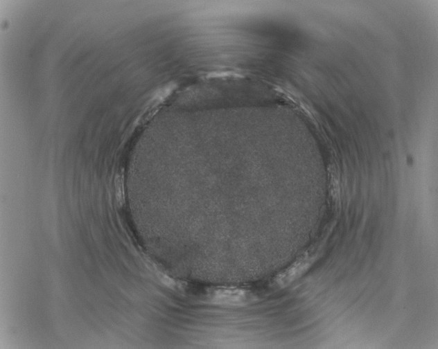 X0000078260471200611251333