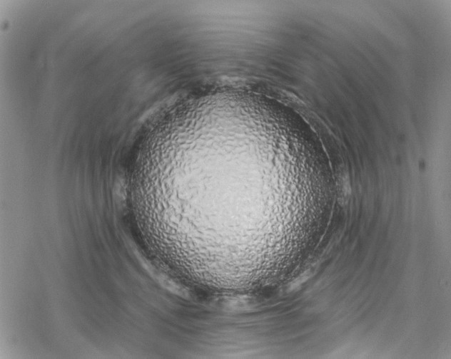 X0000078260472200611251333