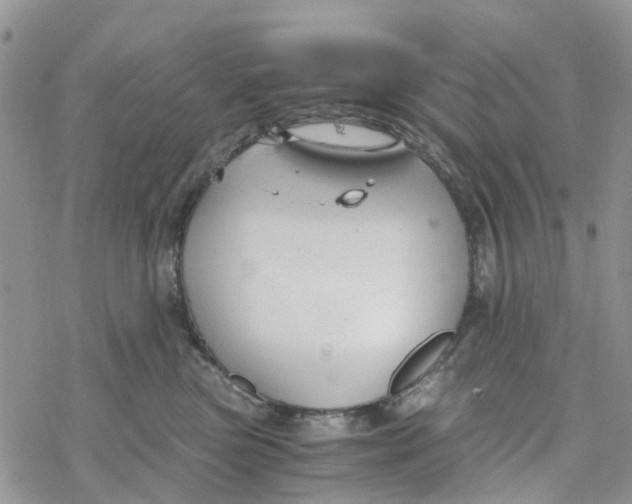 X0000078260473200611251333