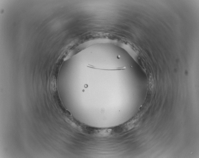 X0000078260474200611251333