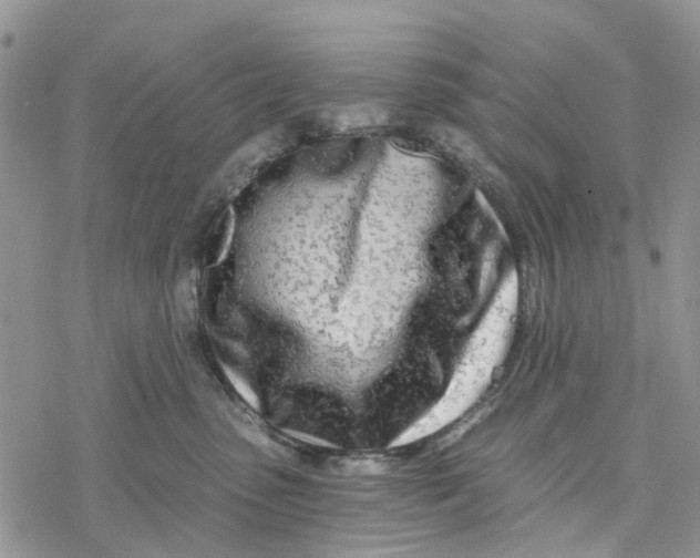 X0000078260475200611251333