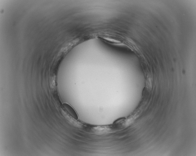 X0000078260477200611251333