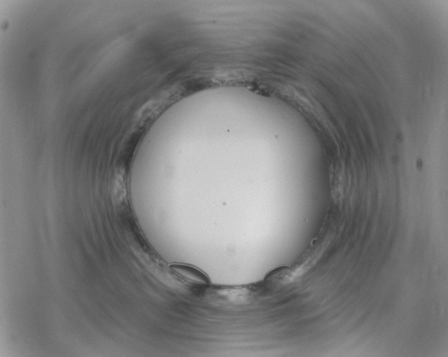 X0000078260478200611251333