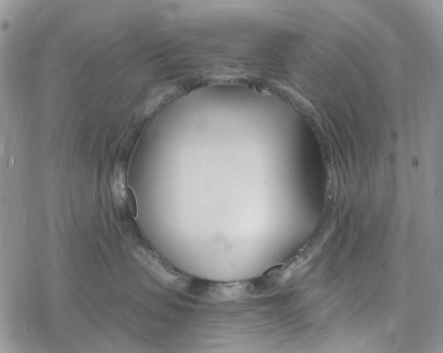 X0000078260479200611251333