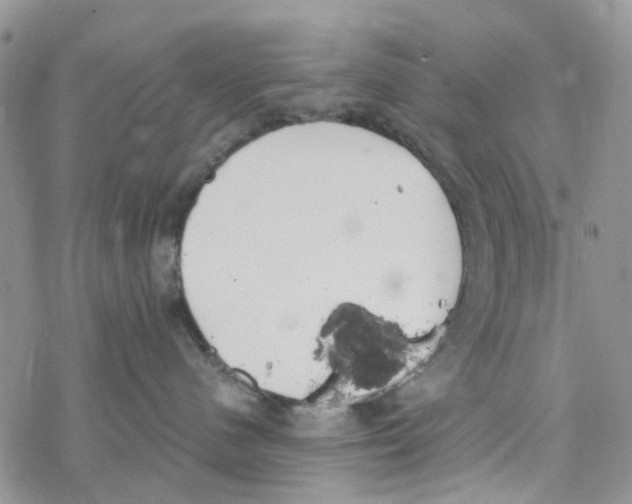 X0000078260480200611251333