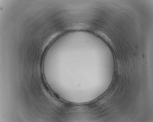 X0000078260482200611251332