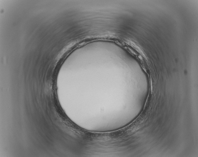 X0000078260483200611251332