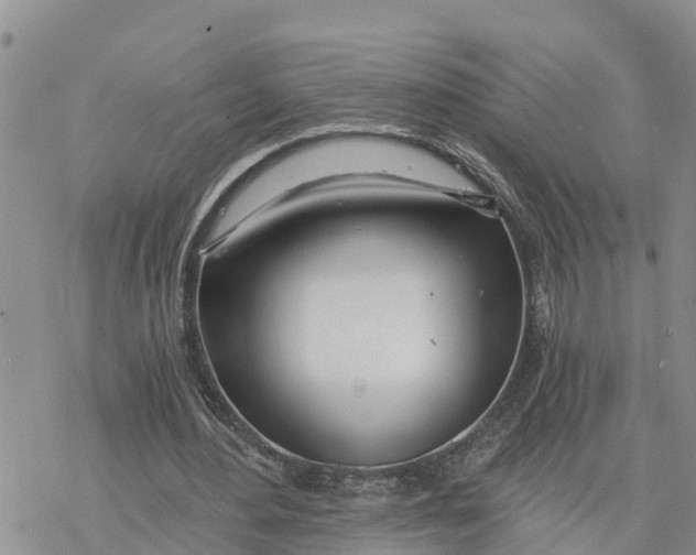 X0000078260484200611251332