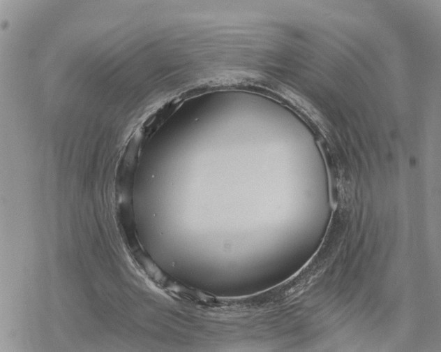 X0000078260485200611251332