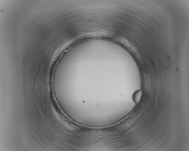 X0000078260486200611251332