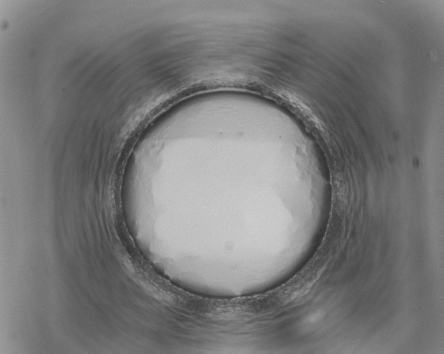 X0000078260487200611251332