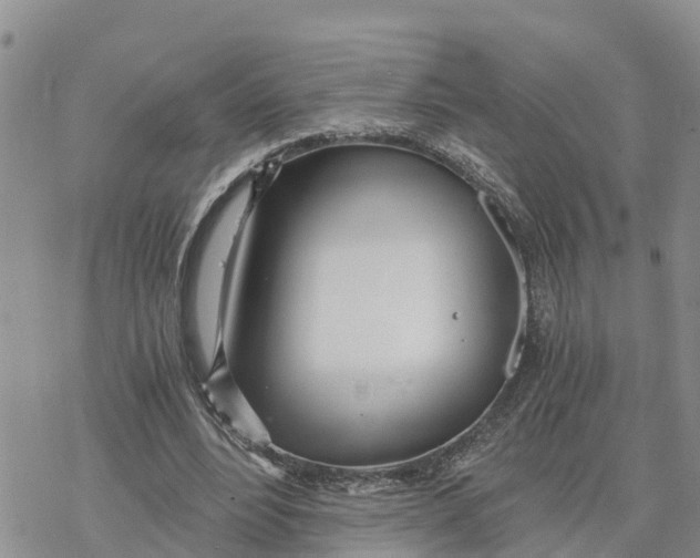 X0000078260488200611251332