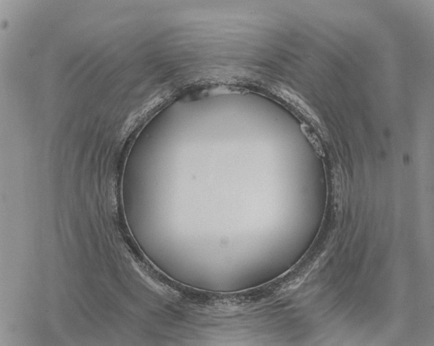 X0000078260489200611251332